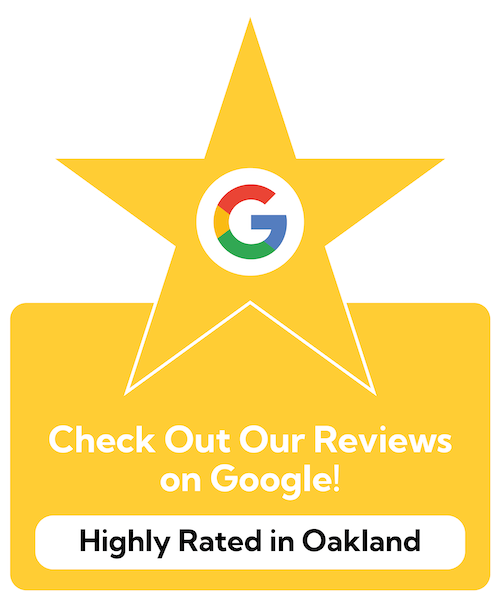 Google Review Icon